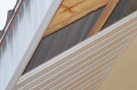 rated Ram Lane soffit repair companies